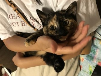 IMG_1245 IMG_1245-e1539501924558